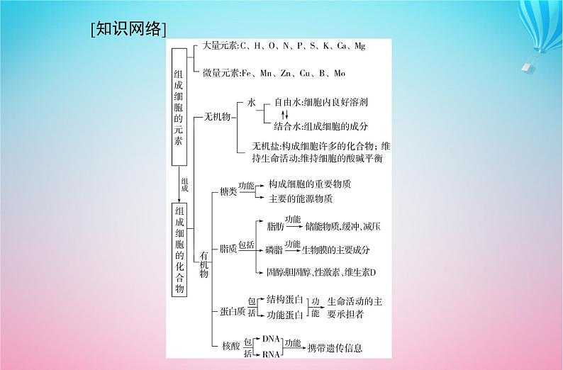 2024届高考生物学业水平测试复习专题一细胞的分子组成课件02