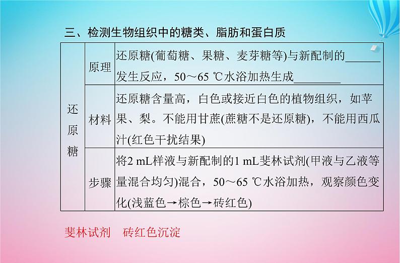 2024届高考生物学业水平测试复习专题一细胞的分子组成课件05