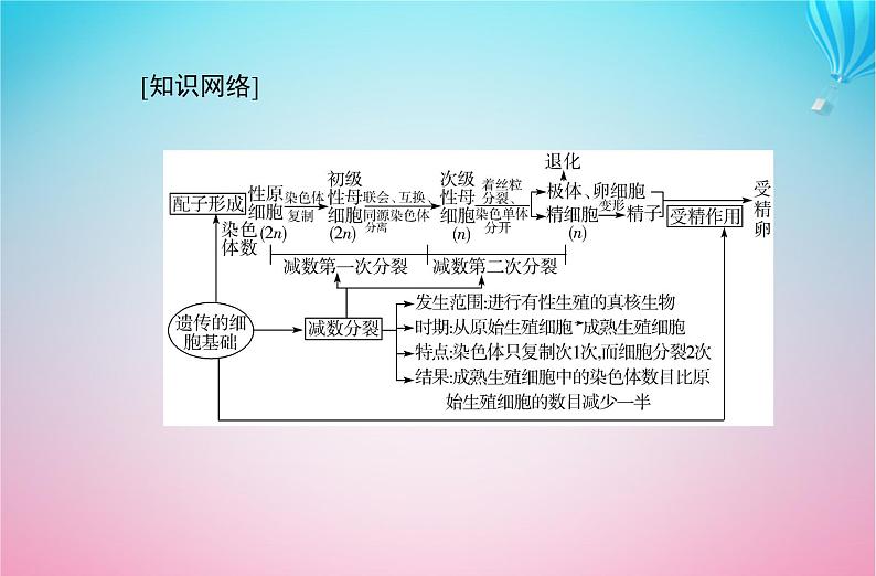 2024届高考生物学业水平测试复习专题六遗传的细胞基次件课件PPT第2页