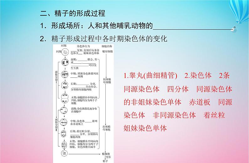 2024届高考生物学业水平测试复习专题六遗传的细胞基次件课件PPT第5页