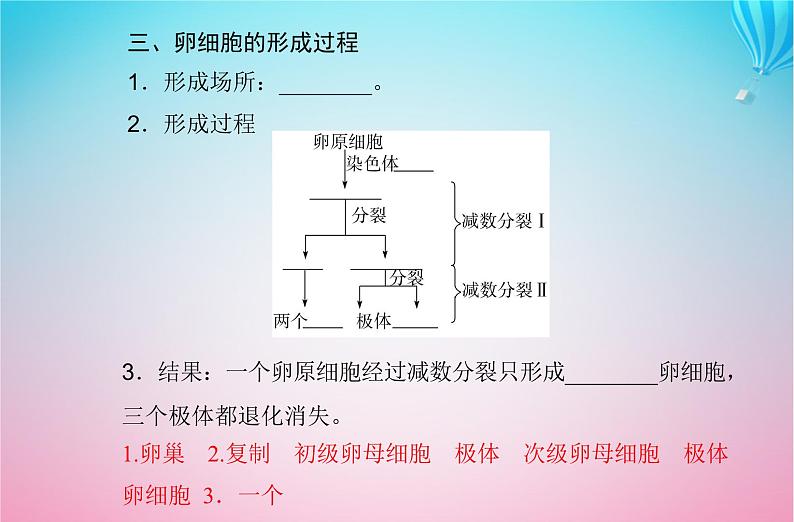 2024届高考生物学业水平测试复习专题六遗传的细胞基次件课件PPT第6页