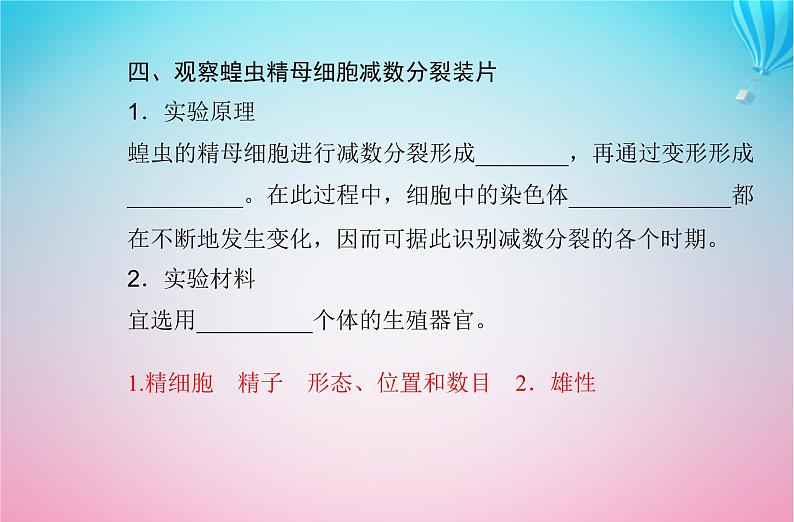 2024届高考生物学业水平测试复习专题六遗传的细胞基次件课件PPT第7页