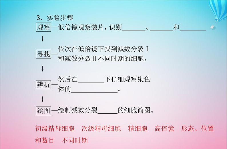 2024届高考生物学业水平测试复习专题六遗传的细胞基次件课件PPT第8页