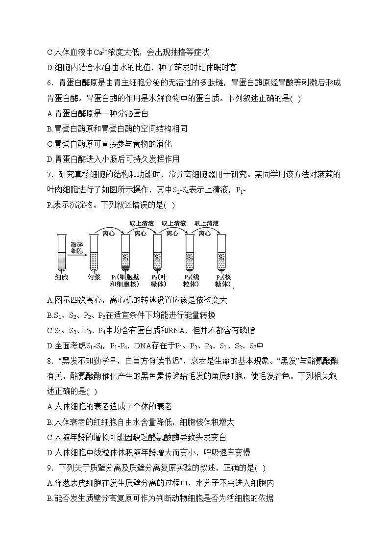 福建省福州市部分学校2023-2024学年高一上学期期末质量检测生物试卷(含答案)02