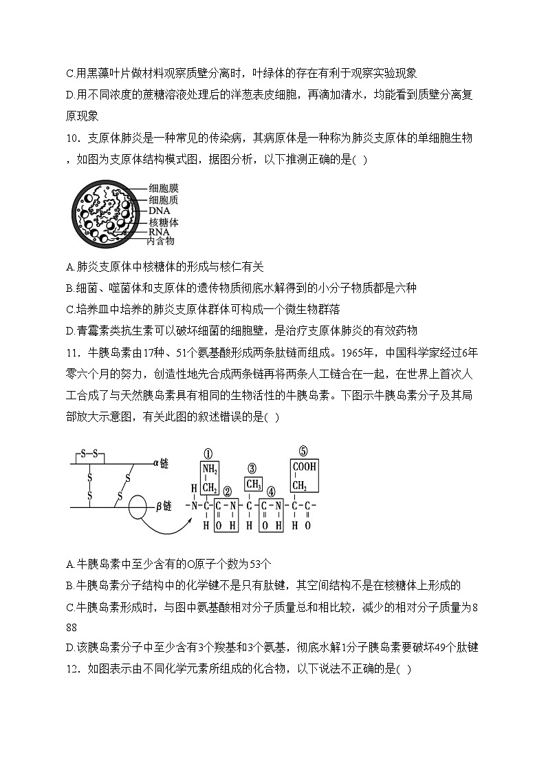 福建省福州市部分学校2023-2024学年高一上学期期末质量检测生物试卷(含答案)03