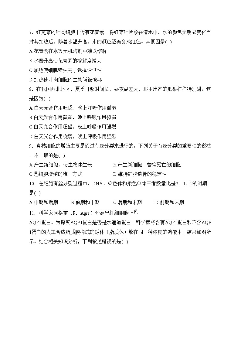 湖南省长沙市宁乡市2023-2024学年高一上学期期末考试生物试卷(含答案)02