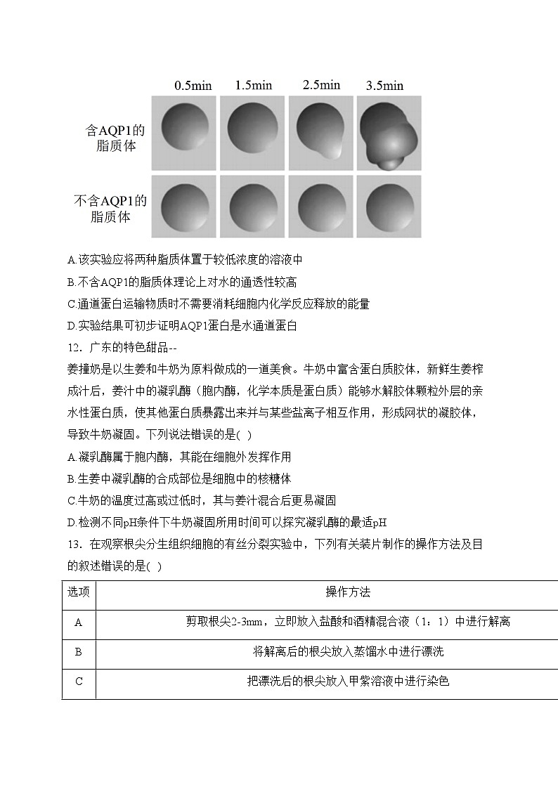 湖南省长沙市宁乡市2023-2024学年高一上学期期末考试生物试卷(含答案)03