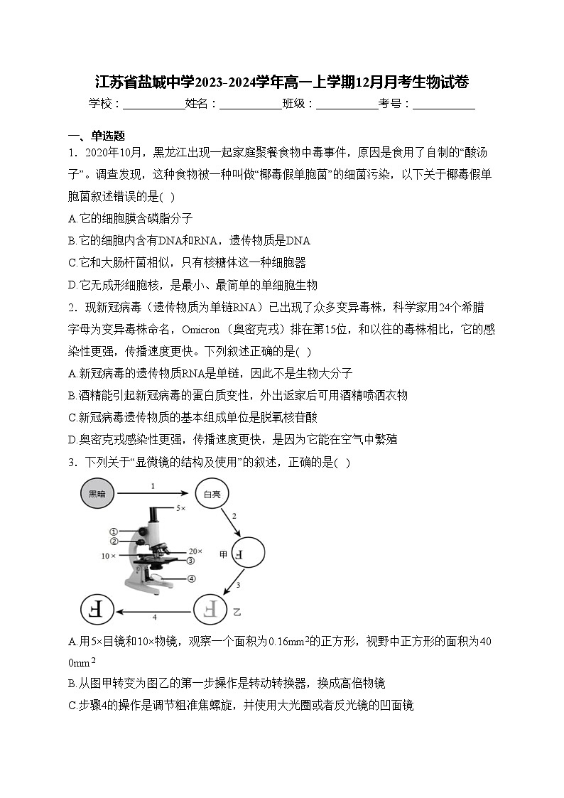 江苏省盐城中学2023-2024学年高一上学期12月月考生物试卷(含答案)01