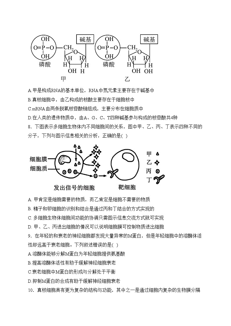 江苏省盐城中学2023-2024学年高一上学期12月月考生物试卷(含答案)03