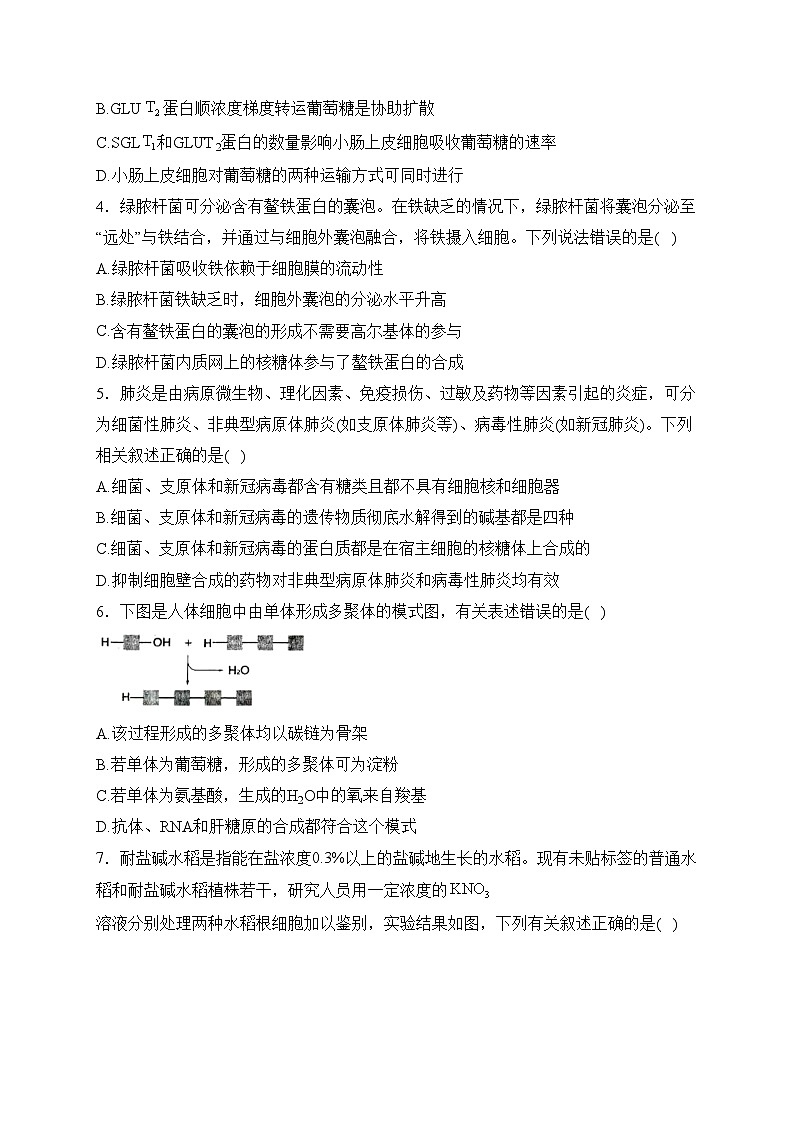 莱州市第一中学2023-2024学年高一下学期开学考试生物试卷(含答案)02