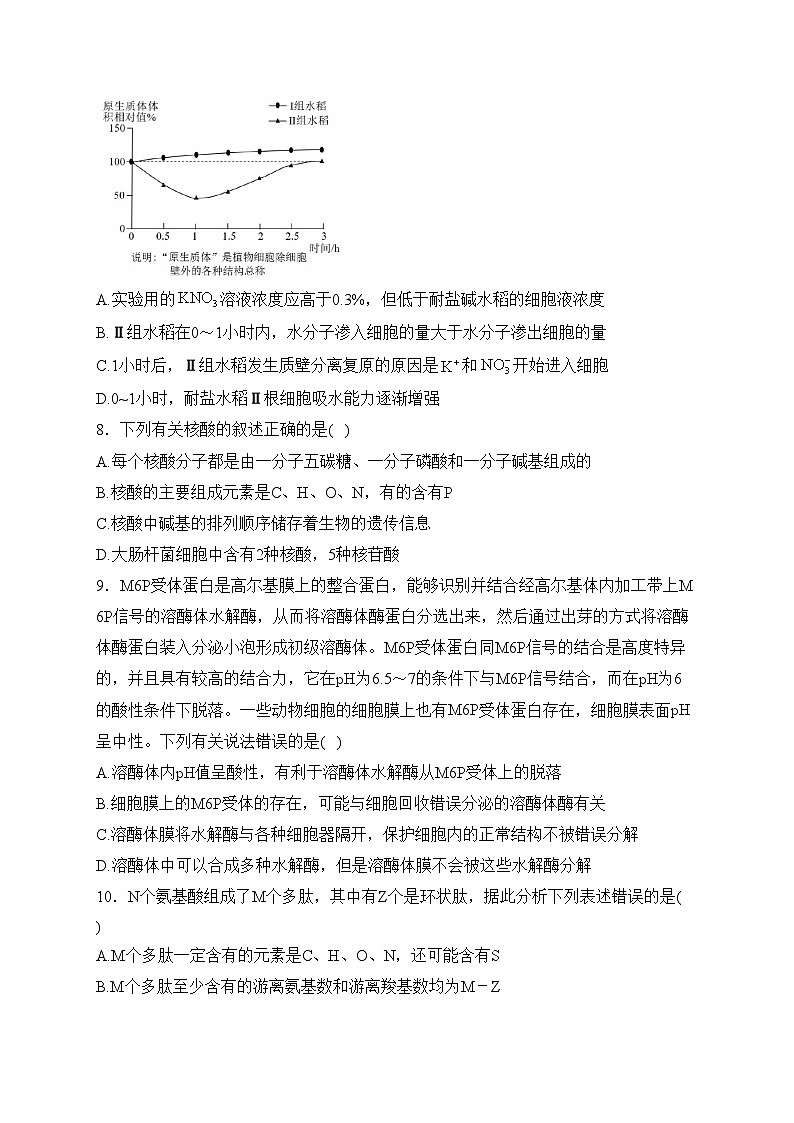 莱州市第一中学2023-2024学年高一下学期开学考试生物试卷(含答案)03