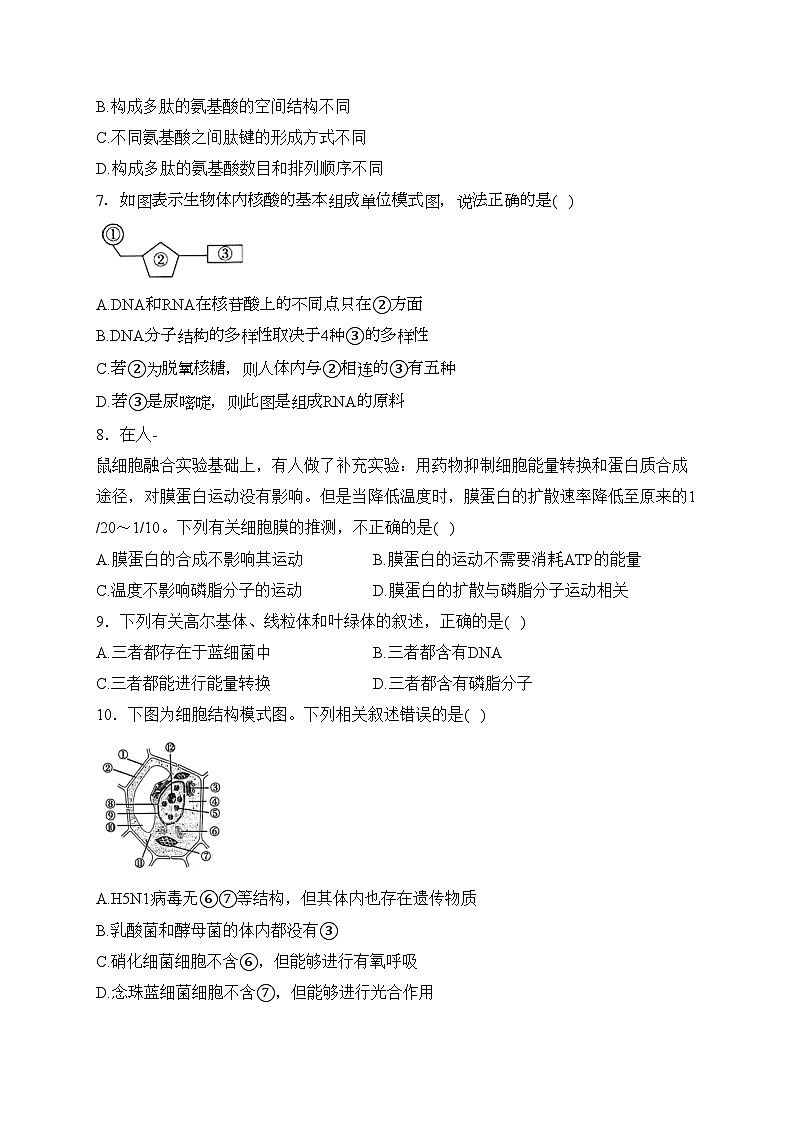 四川省绵阳南山中学2023-2024学年高一下学期入学考试生物试卷(含答案)第2页