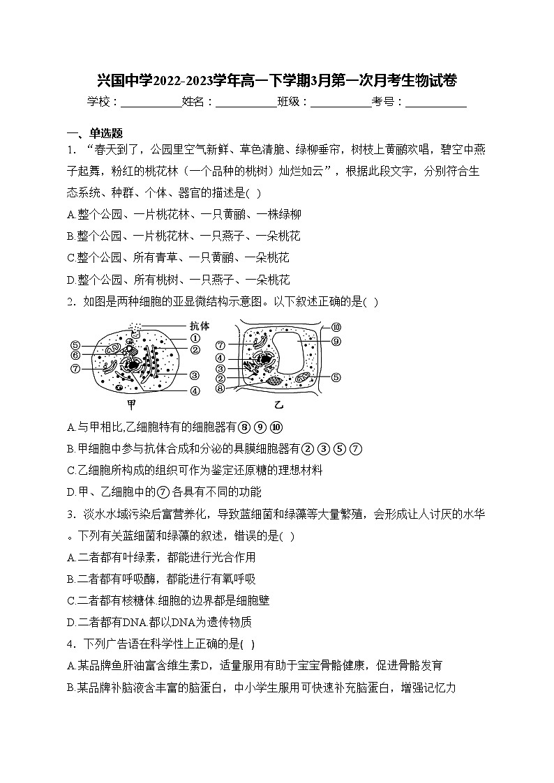 兴国中学2022-2023学年高一下学期3月第一次月考生物试卷(含答案)第1页
