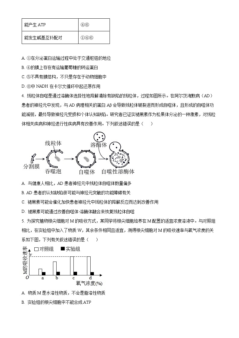 重庆市大足中学2023-2024学年高三下学期3月适应性考试生物试题（原卷版）第2页