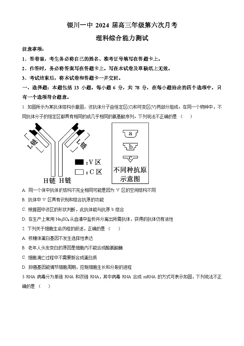 2024回族自治区银川一中高三上学期第六次月考试题理综生物含解析第1页