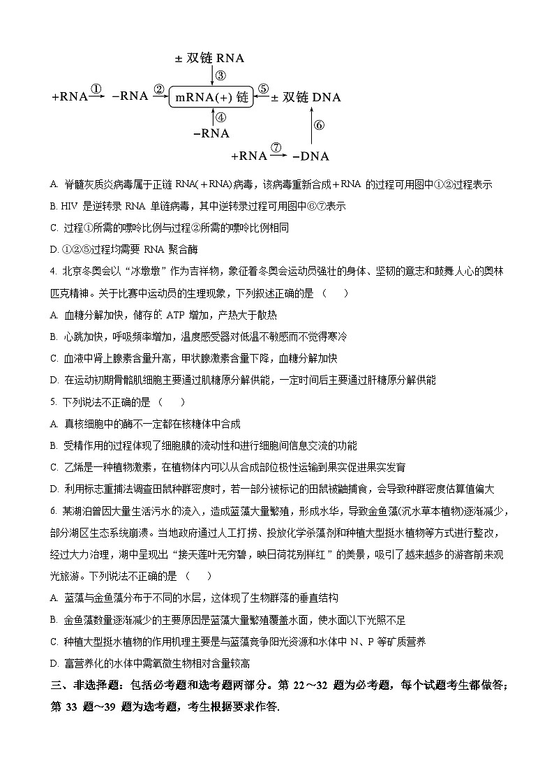 2024回族自治区银川一中高三上学期第六次月考试题理综生物含解析第2页