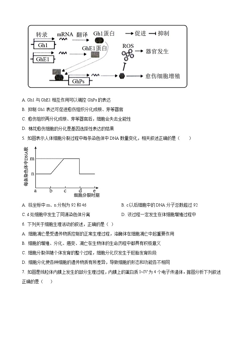 2024扬州中学高三下学期3月限时训练生物含解析第2页