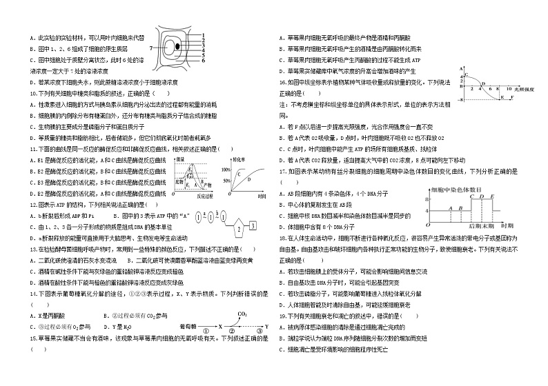 2024开远一中校高一下学期开学考试生物含答案02
