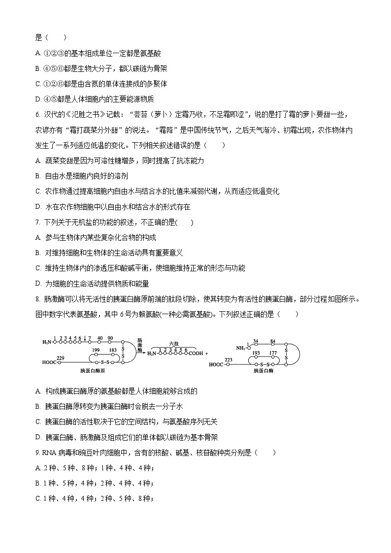 2024云南省下关一中高一下学期开学考试生物含解析第2页