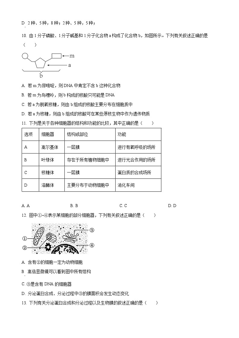 2024云南省下关一中高一下学期开学考试生物含解析第3页