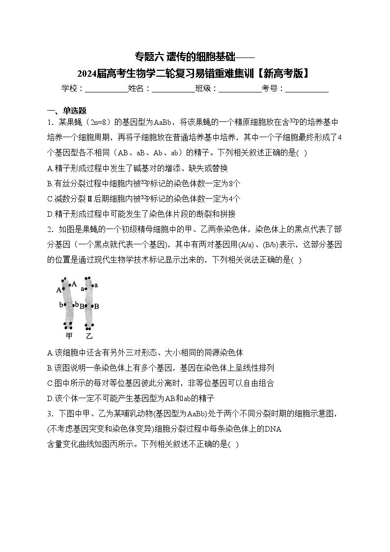 专题六 遗传的细胞基础——2024届高考生物学二轮复习易错重难集训【新高考版】(含答案)第1页