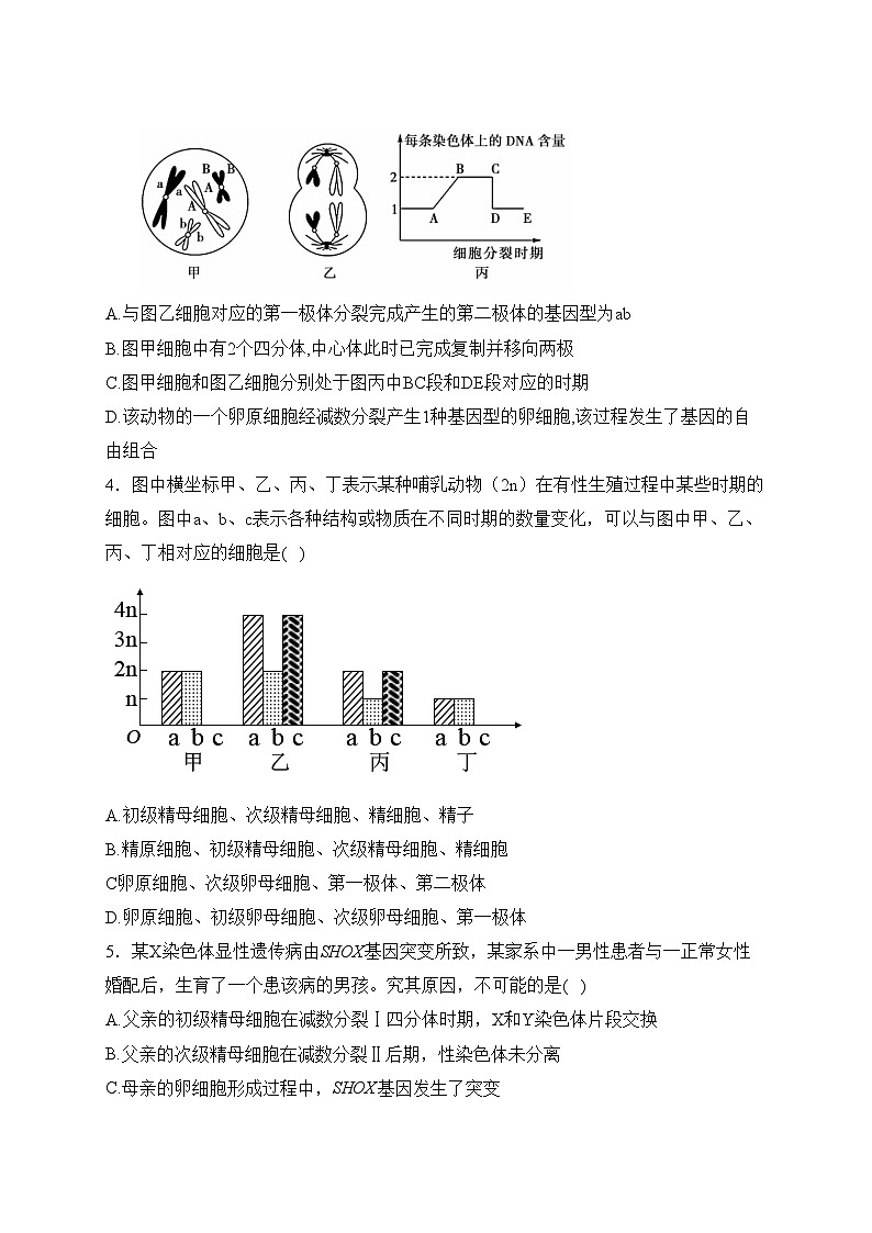 专题六 遗传的细胞基础——2024届高考生物学二轮复习易错重难集训【新高考版】(含答案)第2页