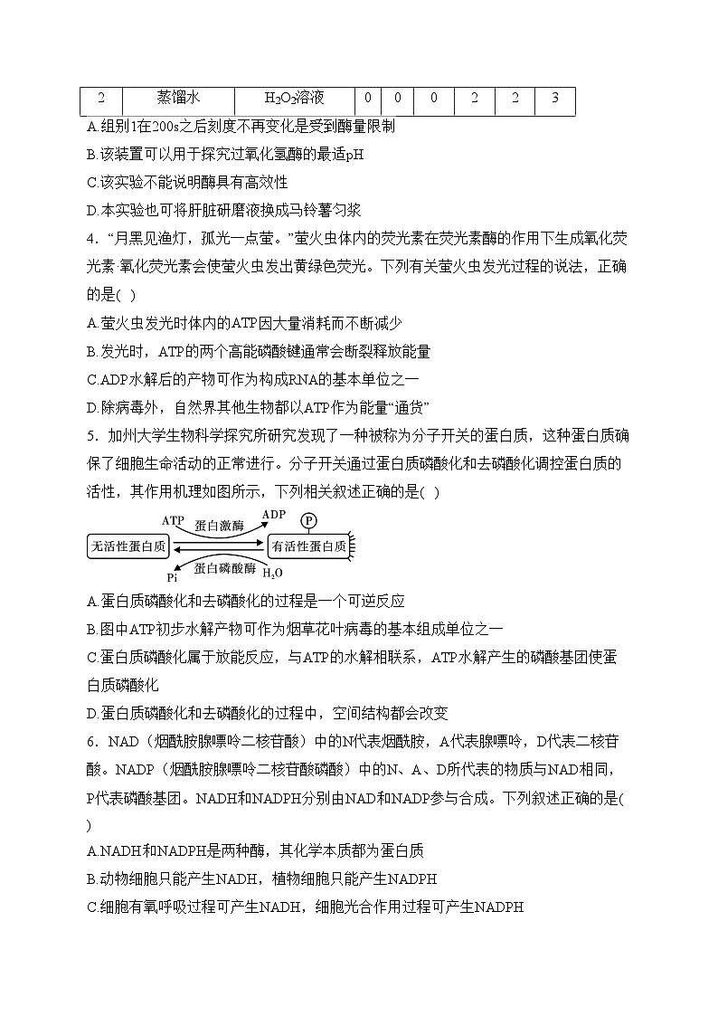 专题四 细胞代谢——2024届高考生物学二轮复习易错重难集训【新高考版】(含答案)第2页