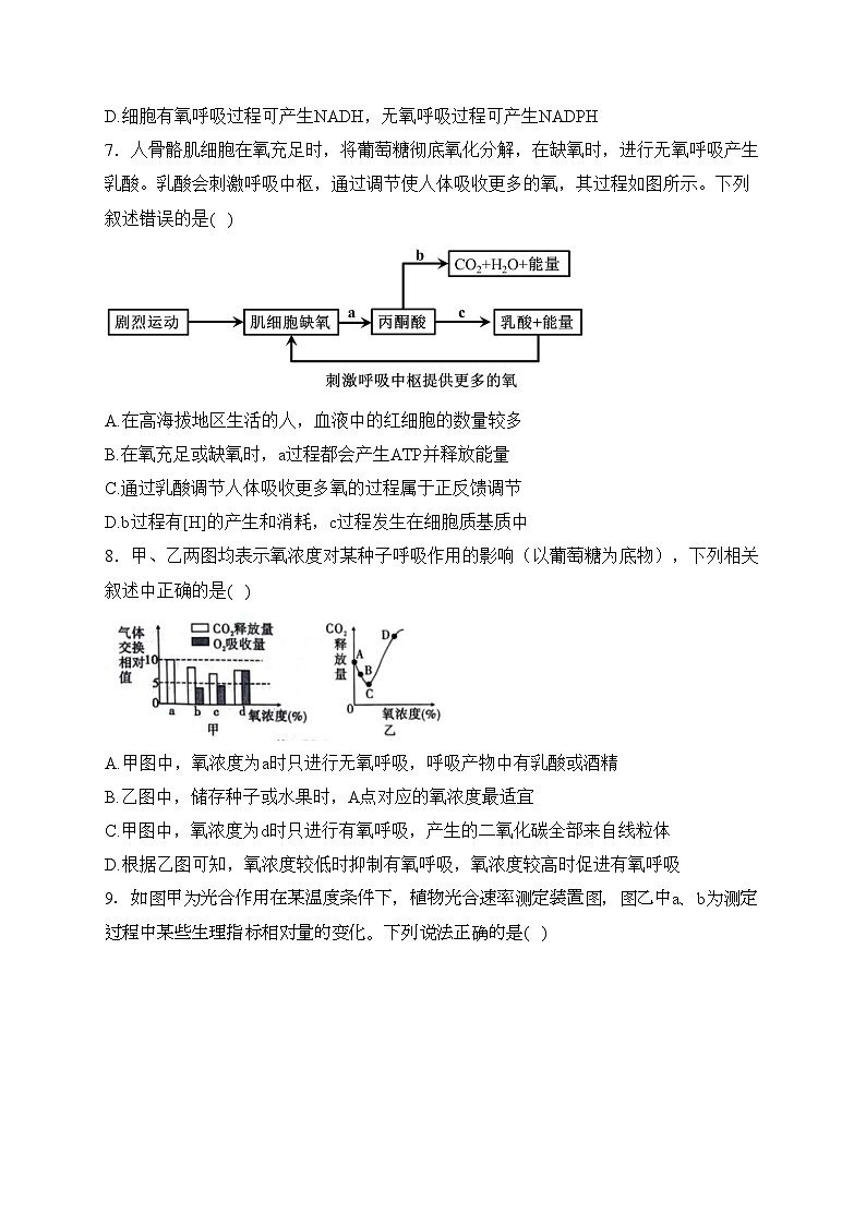 专题四 细胞代谢——2024届高考生物学二轮复习易错重难集训【新高考版】(含答案)第3页