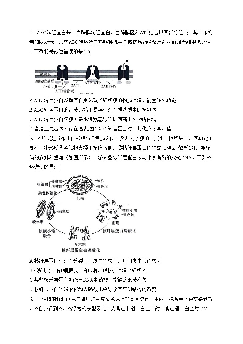 重庆市2024届高三下学期2月第六次质量检测生物试卷(含答案)第2页