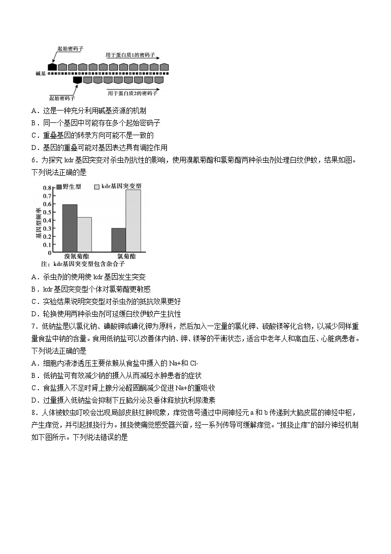 2024届山东省泰安市高三一模生物试题第3页