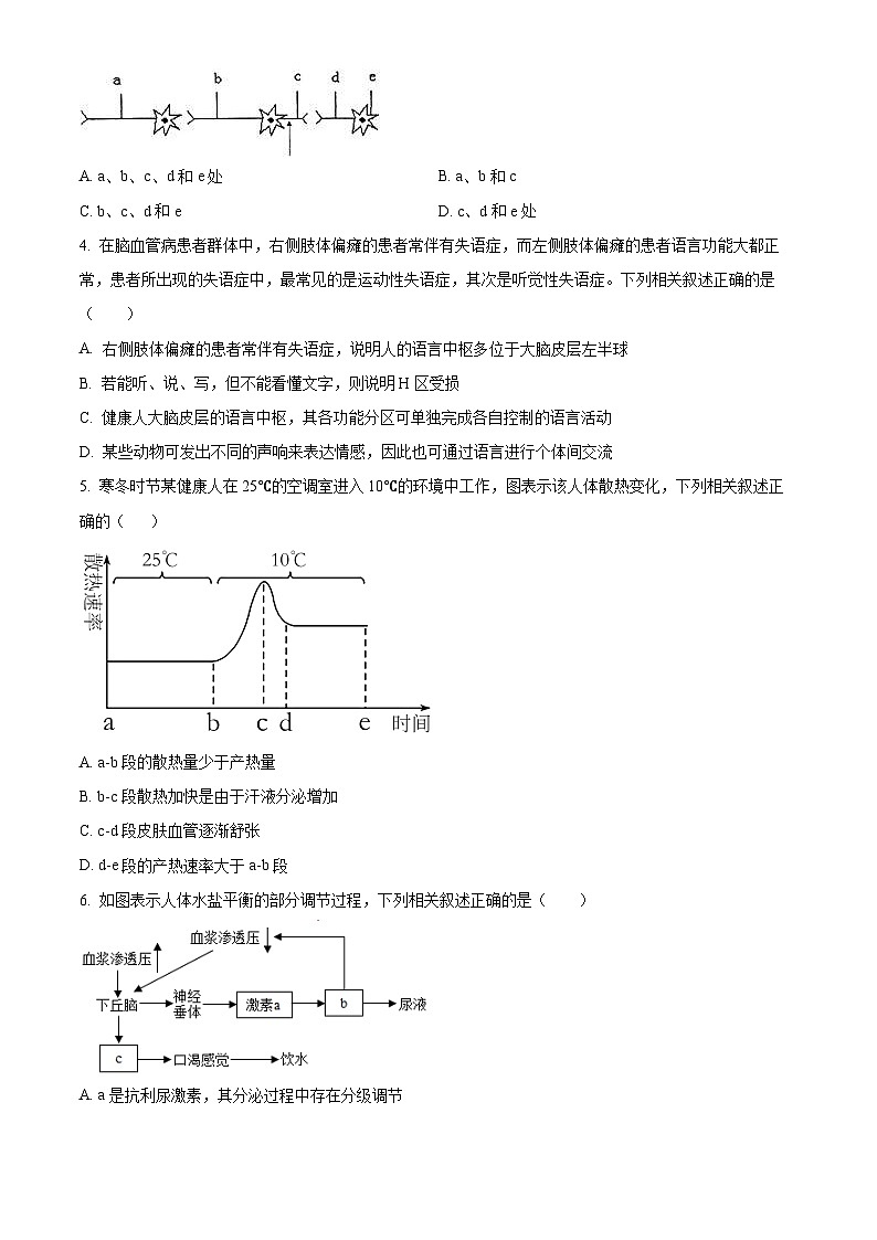 精品解析：黑龙江省大庆外国语学校2023-2024学年高二下学期开学质量检测生物试题（原卷版）第2页
