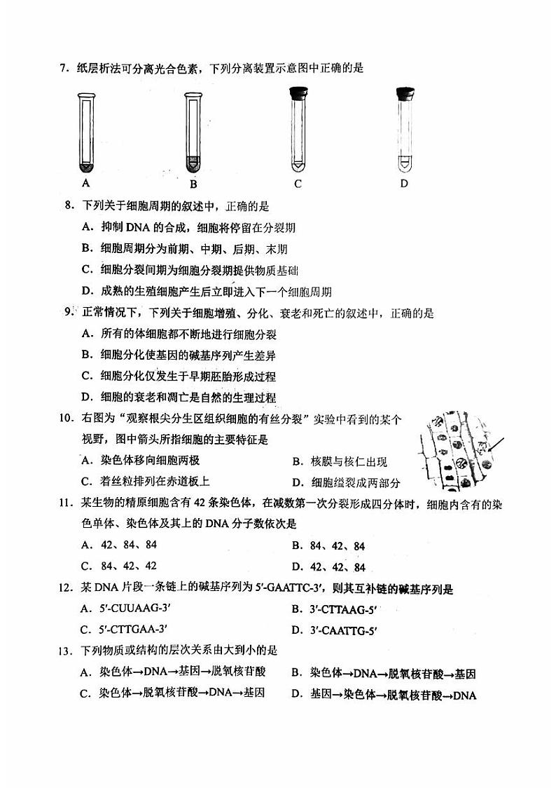 北京市2024年第一次普通高中学业水平合格性考试生物试卷（PDF版附答案）第2页