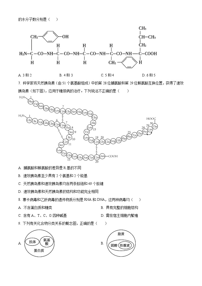 北京市北师大附中平谷第一分校2023-2024学年高一上学期期中生物试题（原卷版+解析版）02