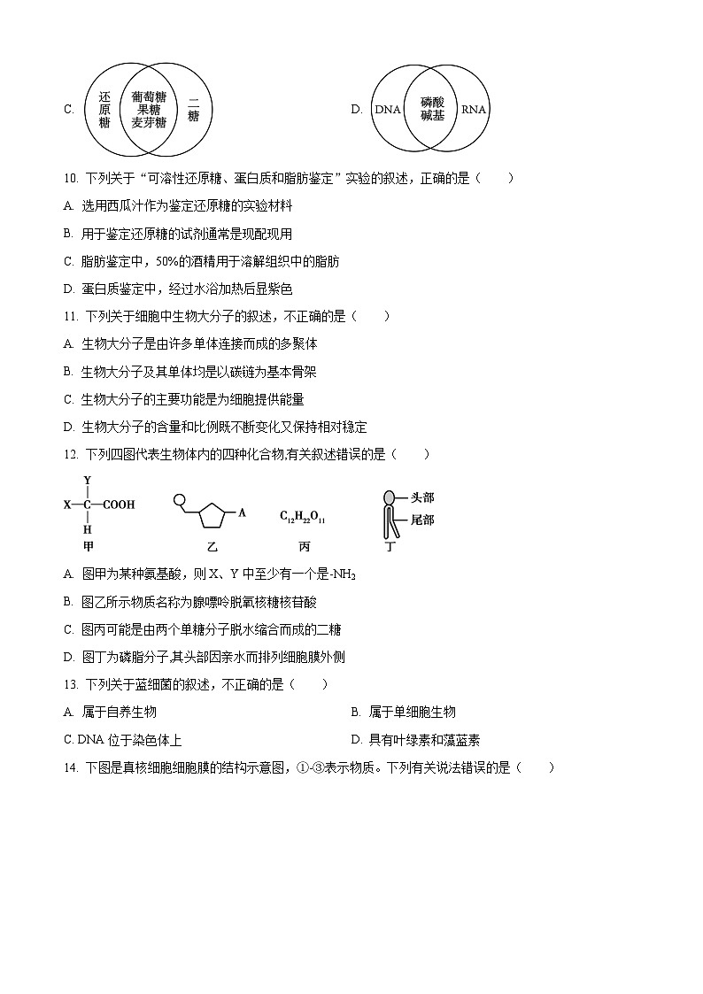 北京市北师大附中平谷第一分校2023-2024学年高一上学期期中生物试题（原卷版+解析版）03