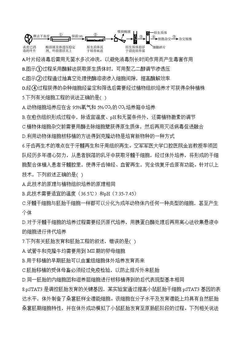 第二章 细胞工程—2023-2024学年高二生物学苏教版（2019）选择性必修三单元检测卷（B卷）02