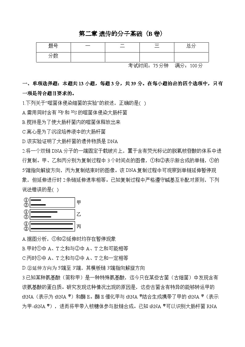 第二章 遗传的分子基础—2023-2024学年高一生物学苏教版（2019）必修二单元检测卷（B卷）第1页