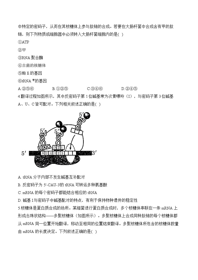 第二章 遗传的分子基础—2023-2024学年高一生物学苏教版（2019）必修二单元检测卷（B卷）第2页