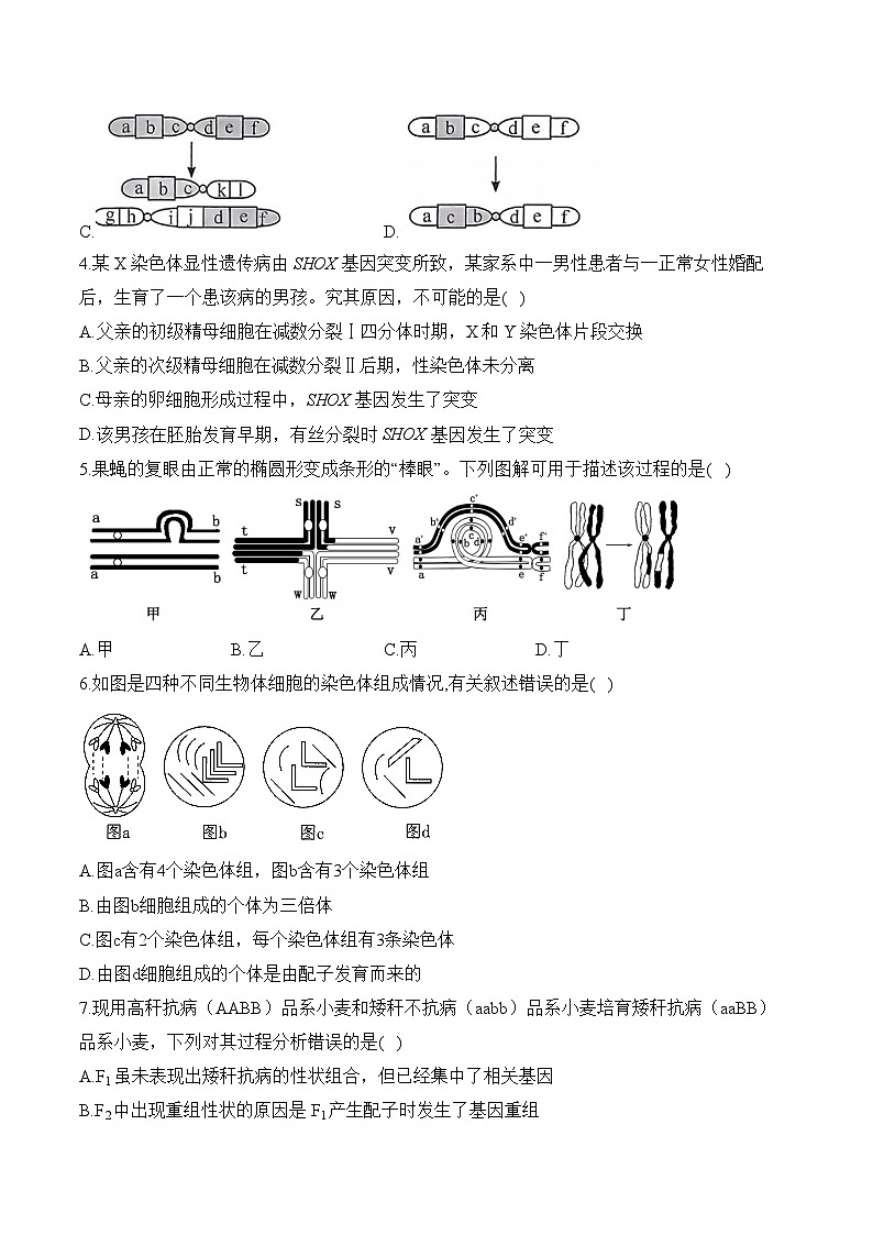 第三章 生物的变异—2023-2024学年高一生物学苏教版（2019）必修二单元检测卷（B卷）02