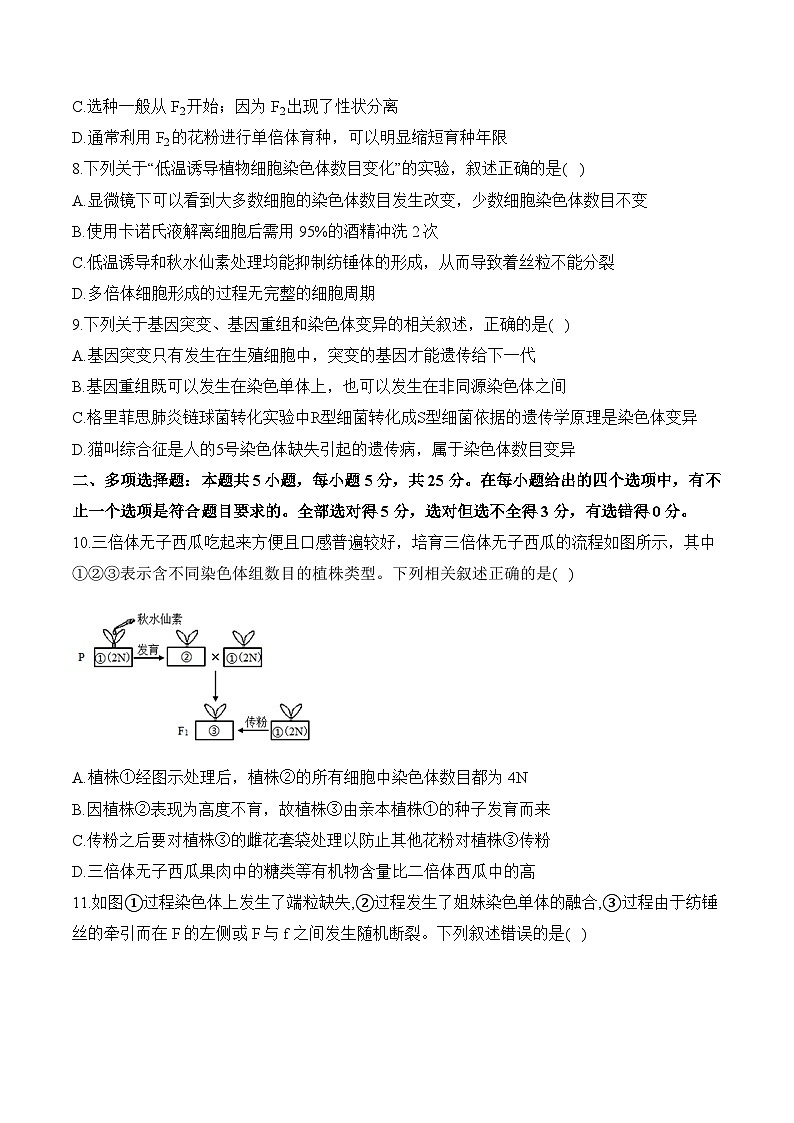 第三章 生物的变异—2023-2024学年高一生物学苏教版（2019）必修二单元检测卷（B卷）03