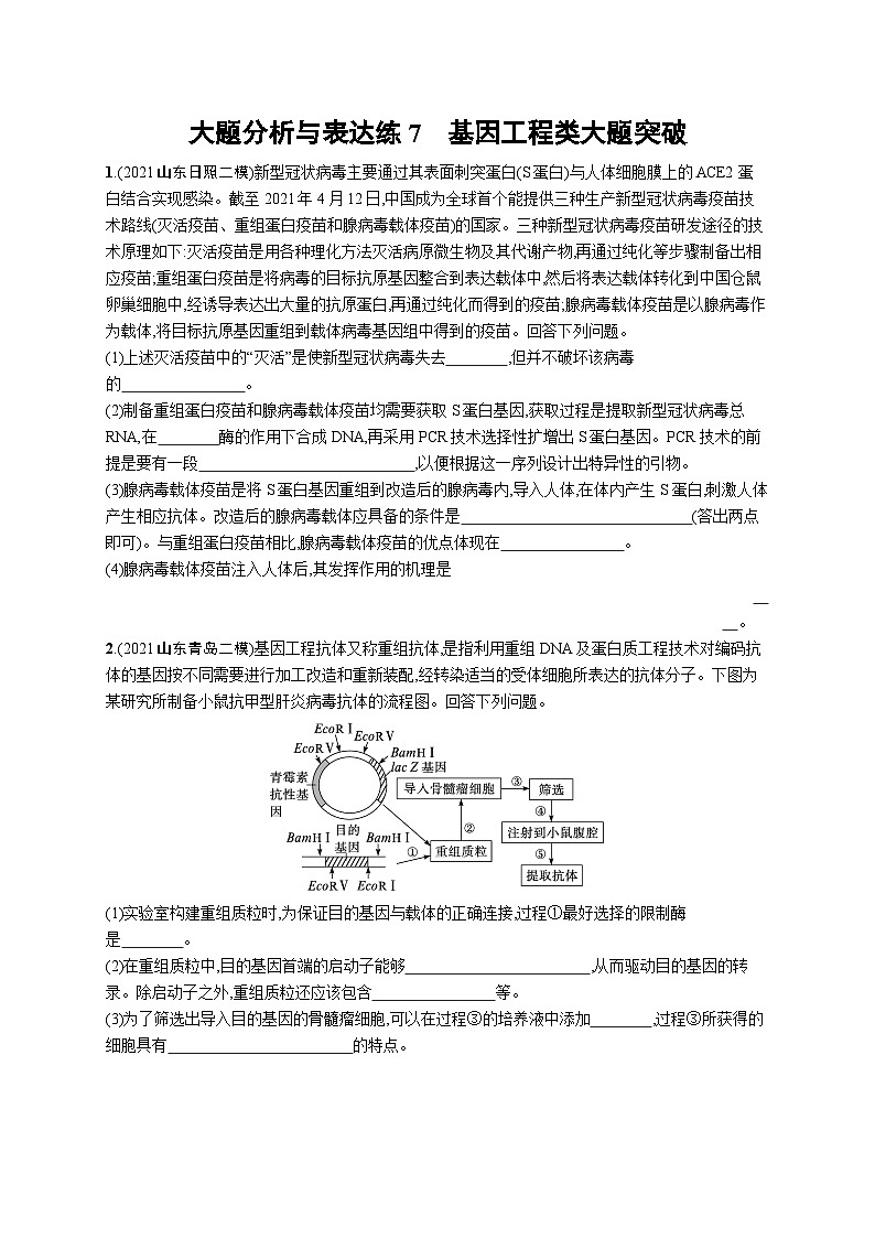 2024年高考生物二轮专项复习大题分析与表达练7基因工程类大题突破（Word版附解析）01