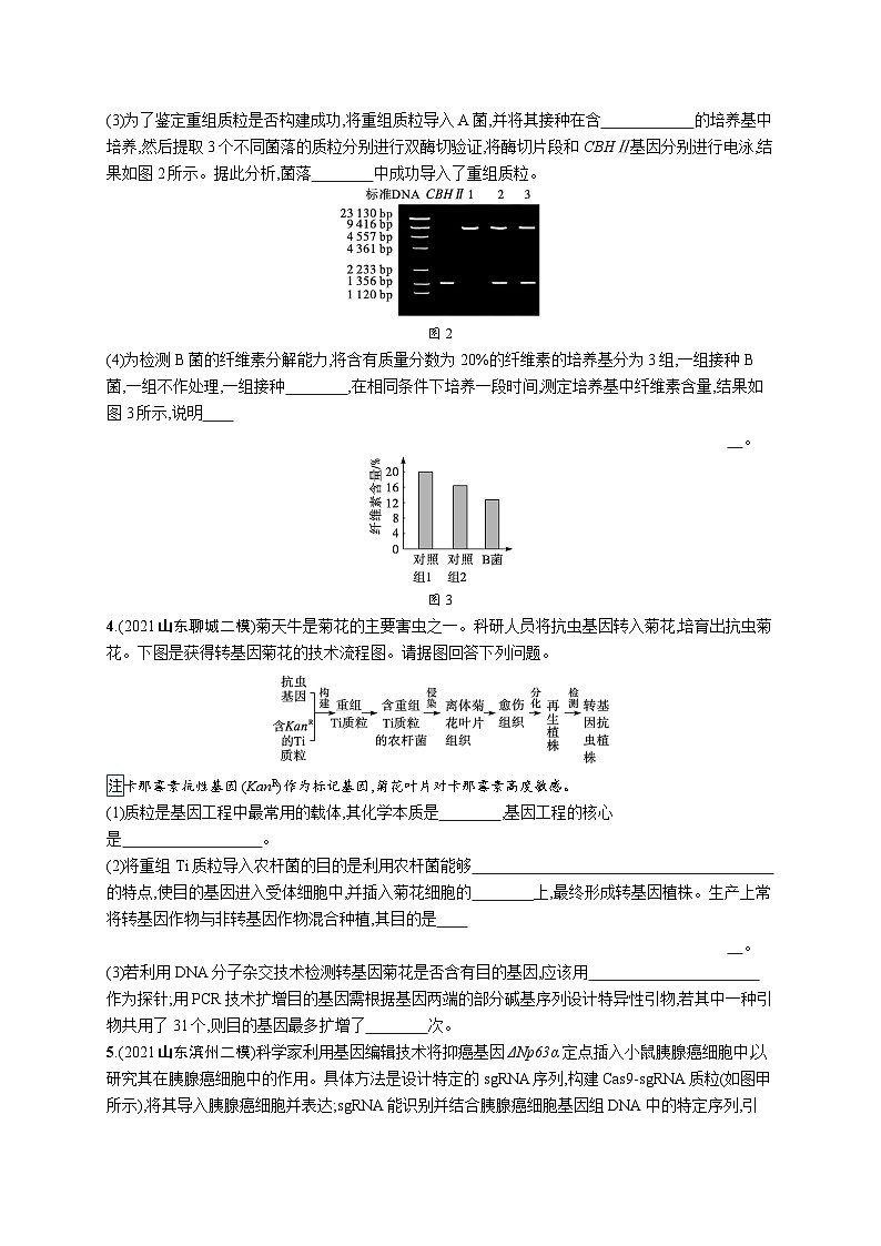 2024年高考生物二轮专项复习大题分析与表达练7基因工程类大题突破（Word版附解析）03