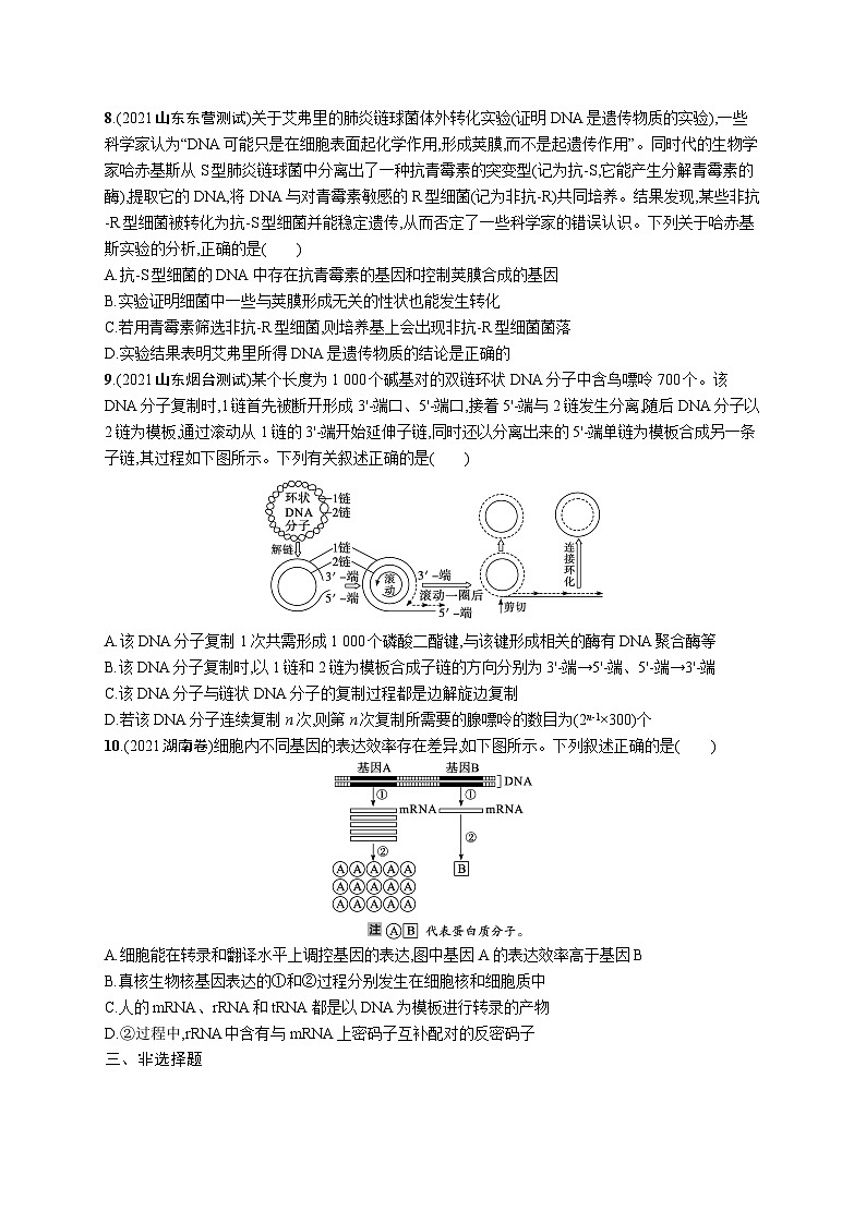 2024年高考生物二轮专项复习专题突破练7遗传的分子基础（Word版附解析）第3页