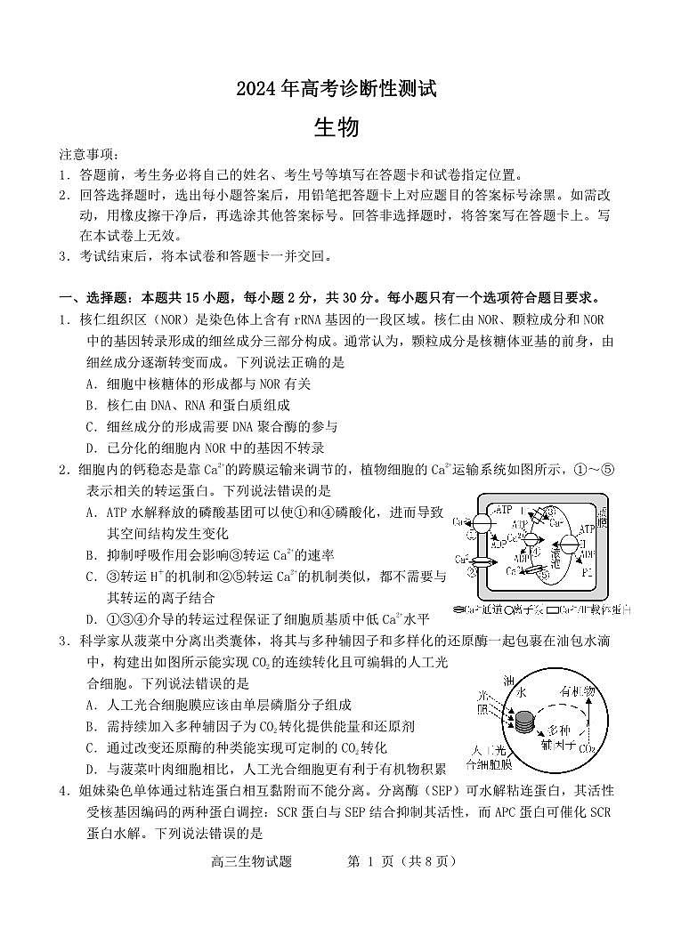 高三生物—试题第1页