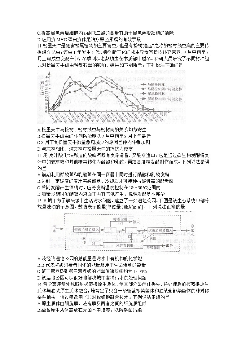 2024届山东省烟台市高三一模考试生物试卷03