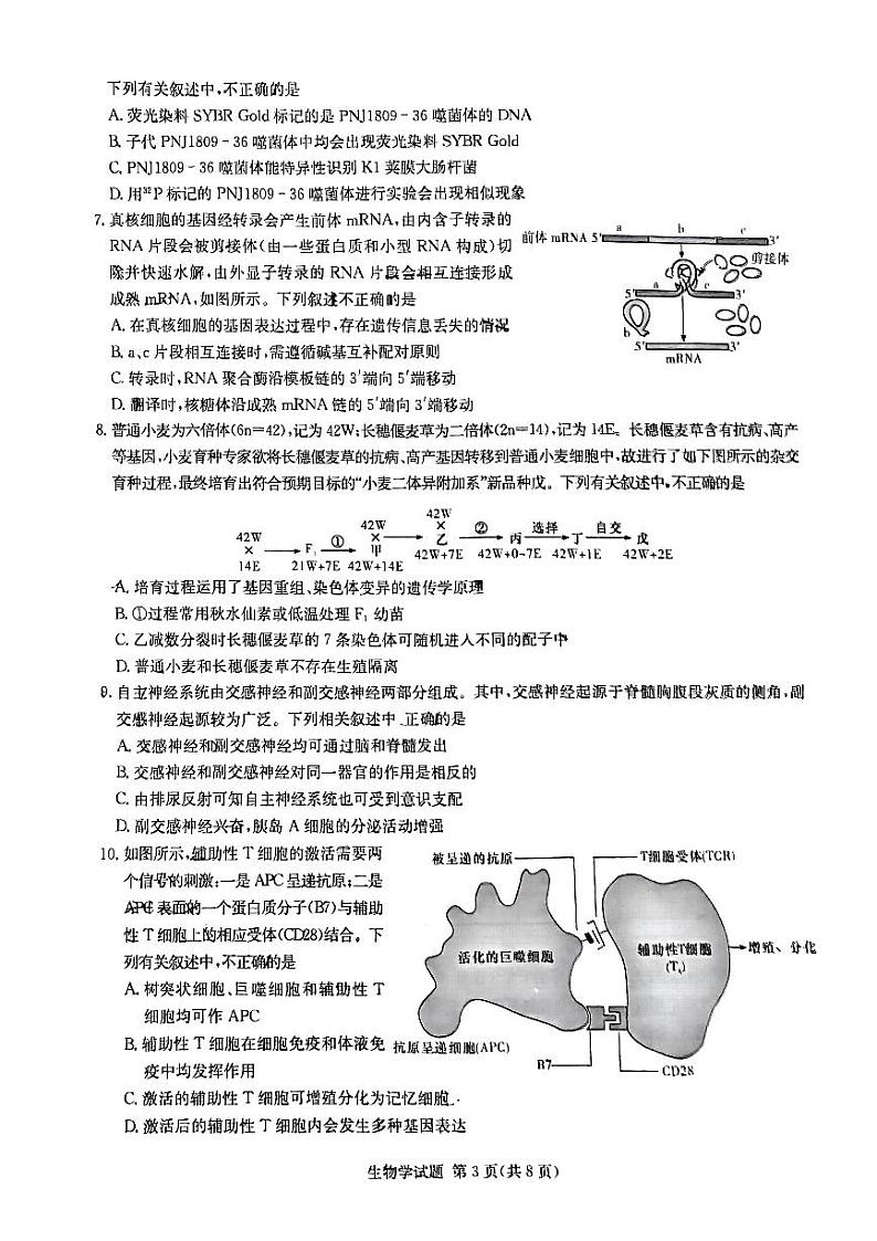 湖南省张家界市2024年高三二模考试生物试题03