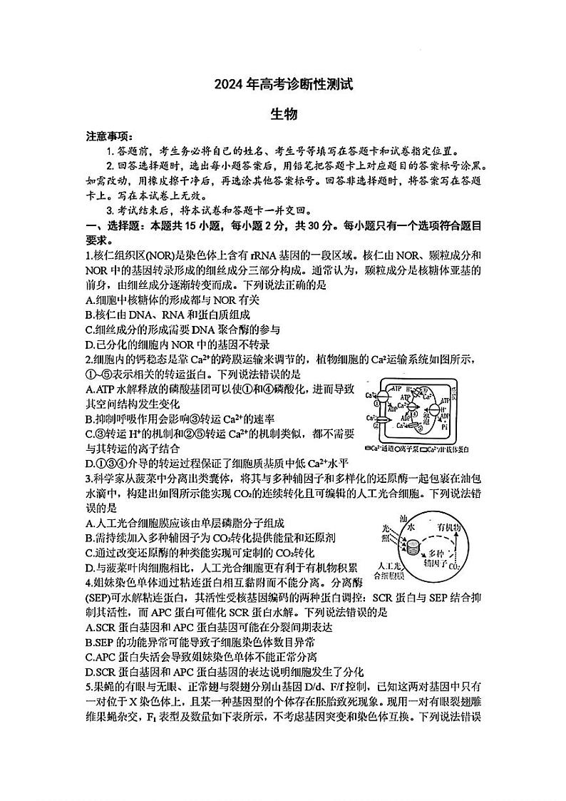 山东省德州市2023—2024学年高三下学期第次一模拟考试生物试题第1页