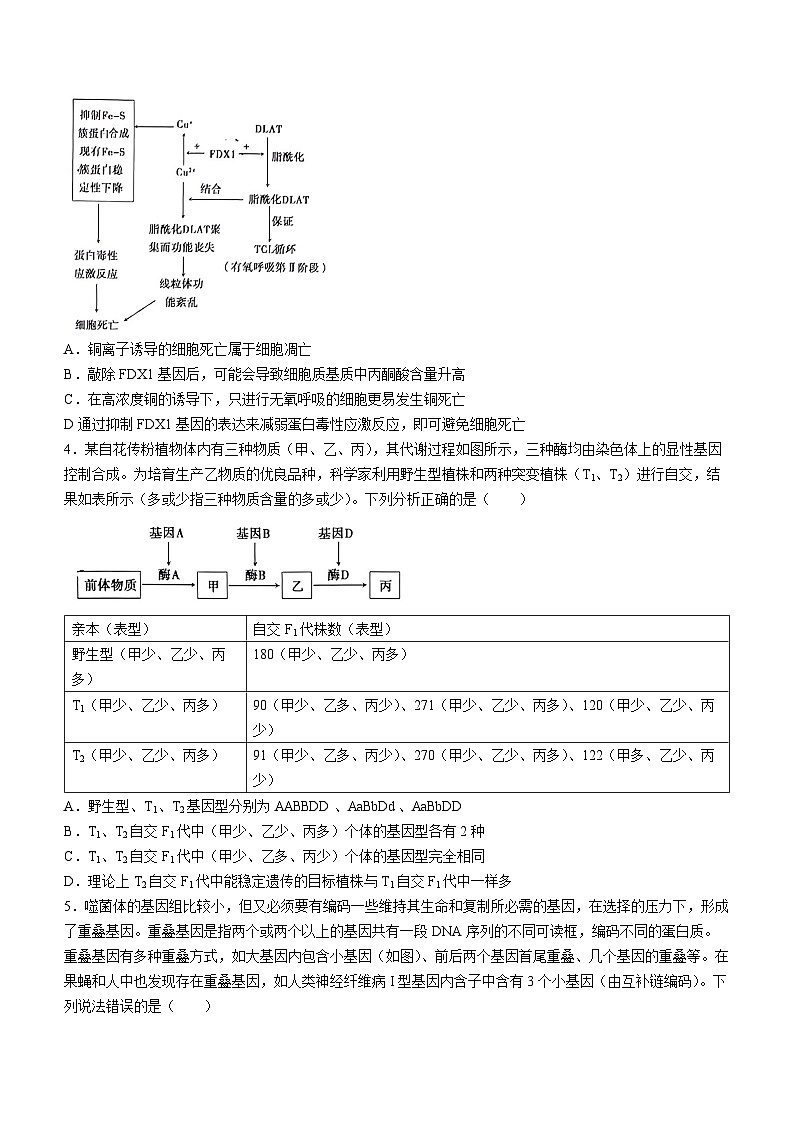 山东省泰安市2023—2024学年高三下学期第一次模拟考试生物试题02