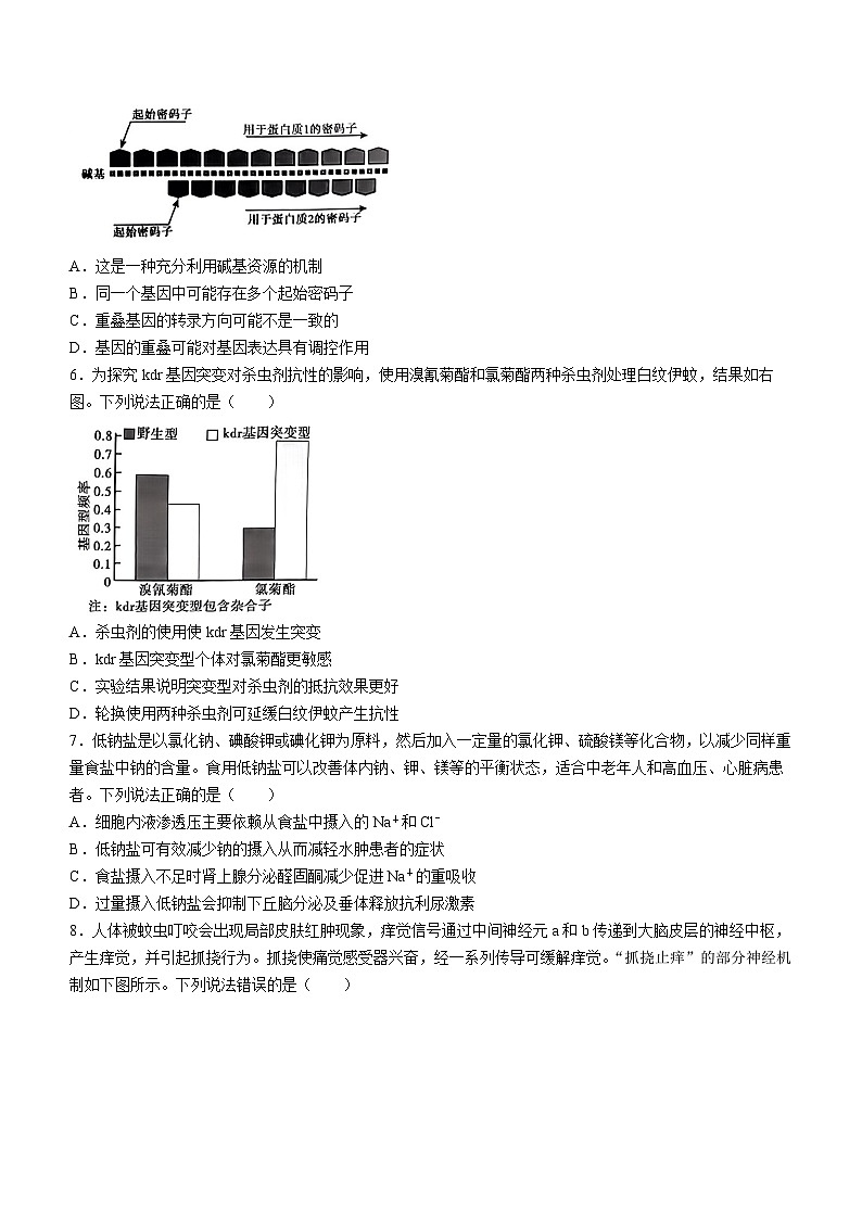 山东省泰安市2023—2024学年高三下学期第一次模拟考试生物试题03
