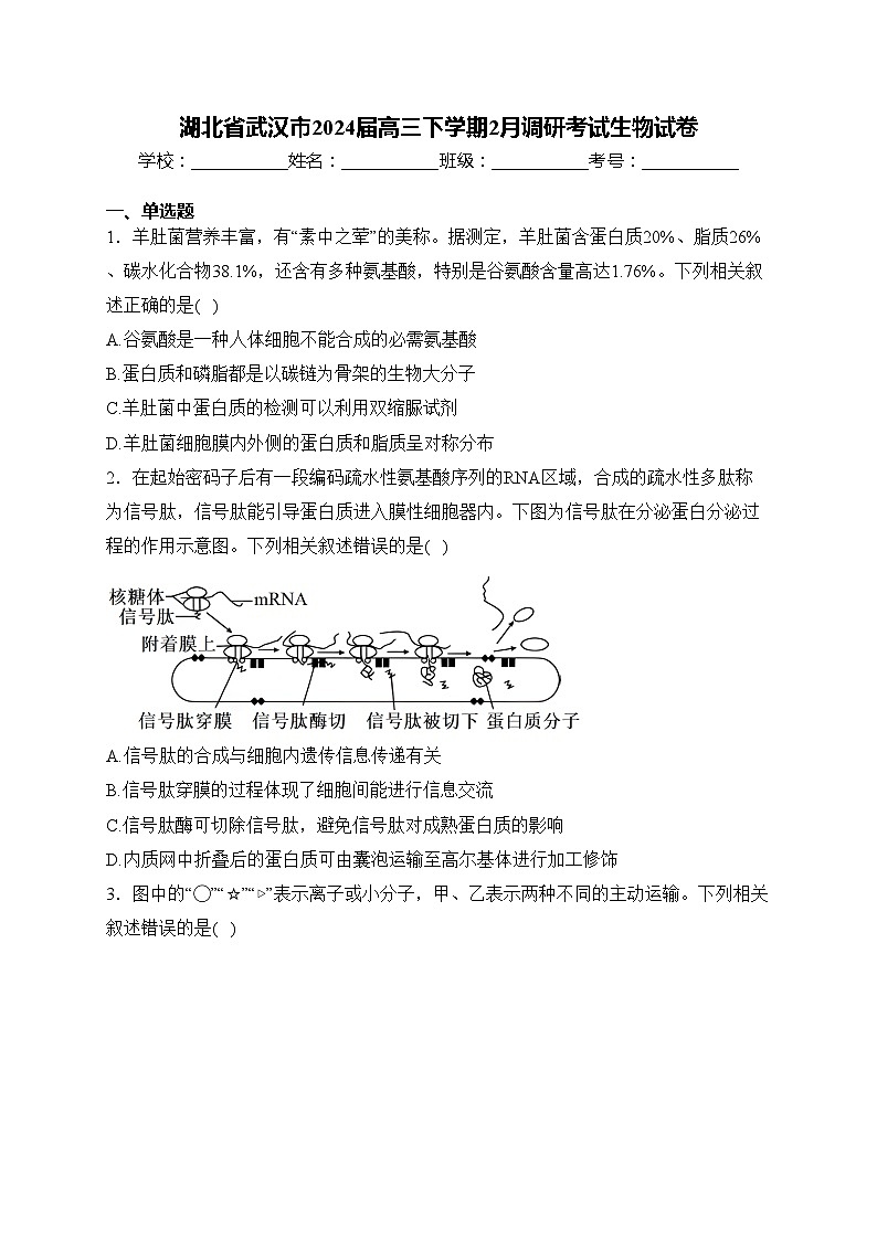 湖北省武汉市2024届高三下学期2月调研考试生物试卷(含答案)第1页