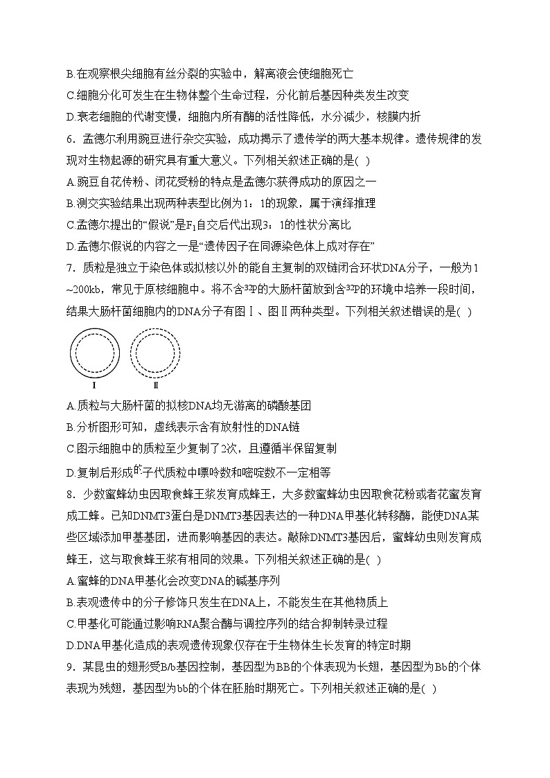 湖北省武汉市2024届高三下学期2月调研考试生物试卷(含答案)第3页